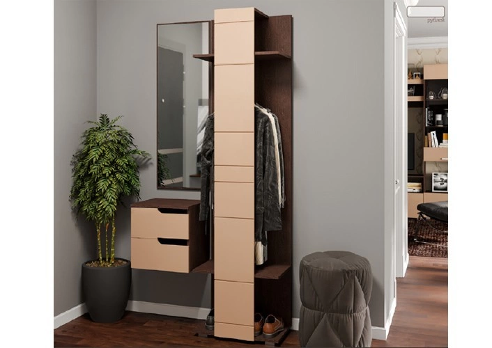 Прихожая Визит-1