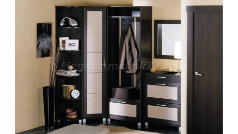 Угловой набор мебели для прихожей «Грета» №3 ГН-119.003