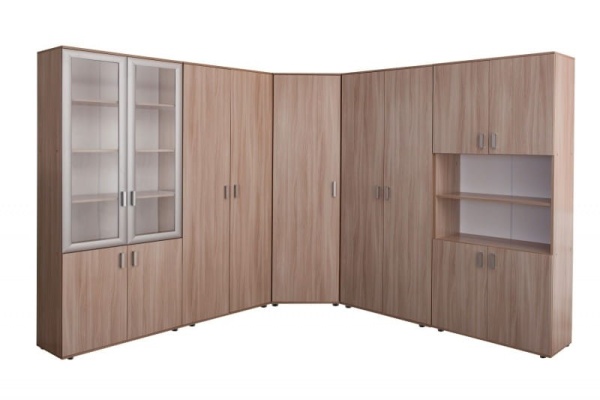 Шкаф для документов Акцент (модуль 8)